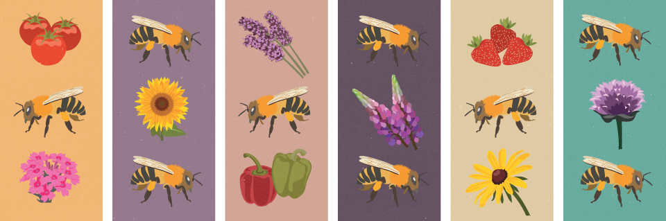 Bring Back the Bees