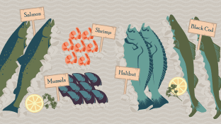 Become an A<i>fish</i>ionado