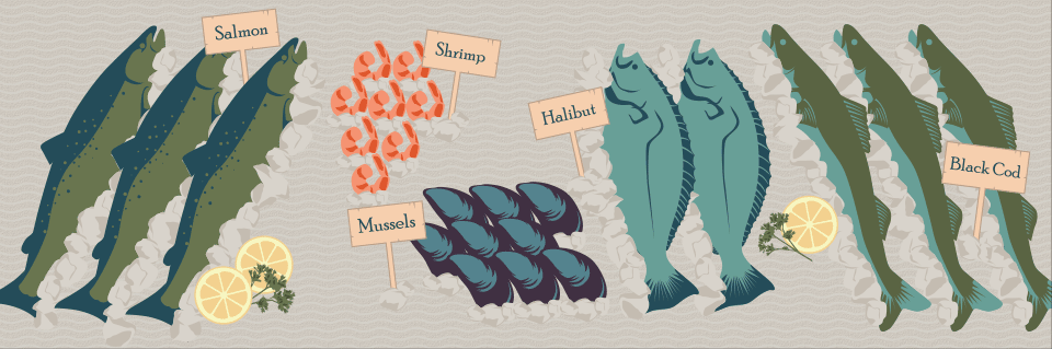Become an A<i>fish</i>ionado