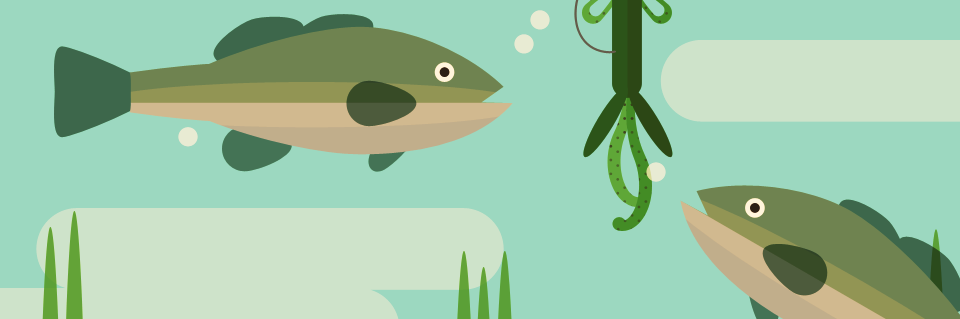 Mastering the Texas Rig
