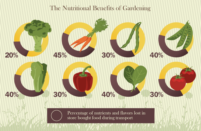 Gardening The Wonderdrug - Nutritional Benefits of Gardening