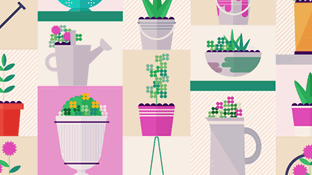 50 Ideas for Container Gardens
