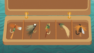 A Fly for Every Occasion