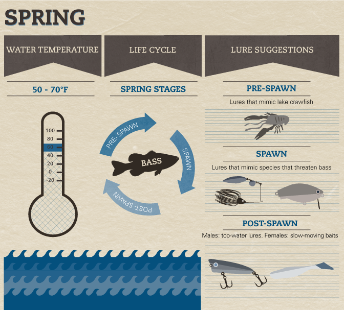 Bass Fishing by Season | Fix.com