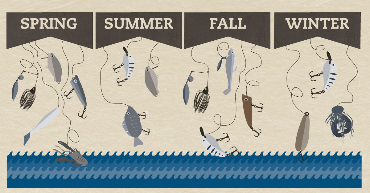 Bass Fishing Spawn Chart