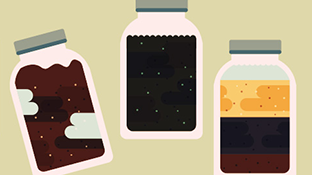 Sifting Through the Soil