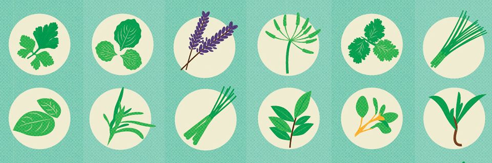 From Seed to Plate