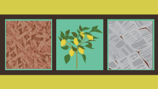 Mulch Matters