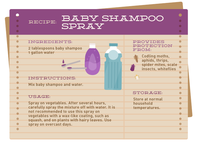 Baby Shampoo Spray