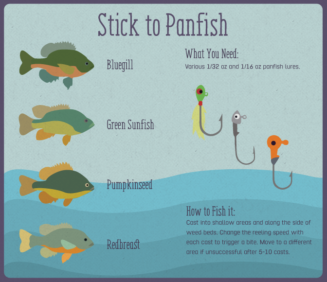 Stick To Panfish When Starting Out