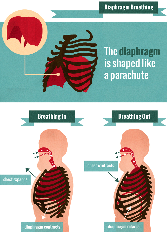 Breathing From The Diaphragm