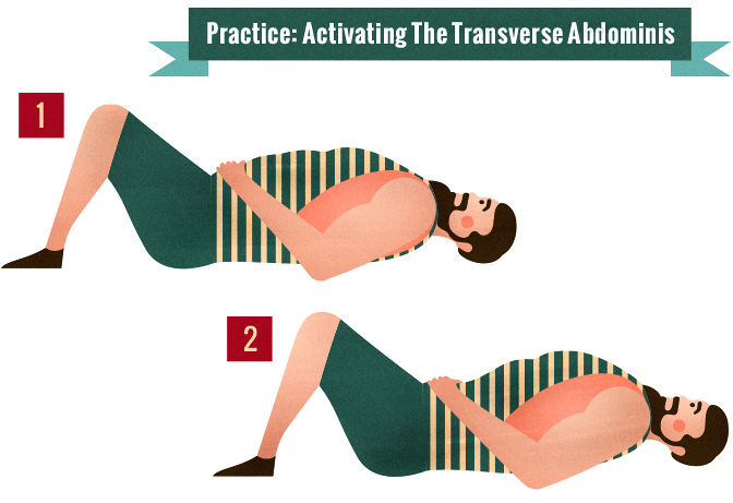 Activating The Transverse Abdominis