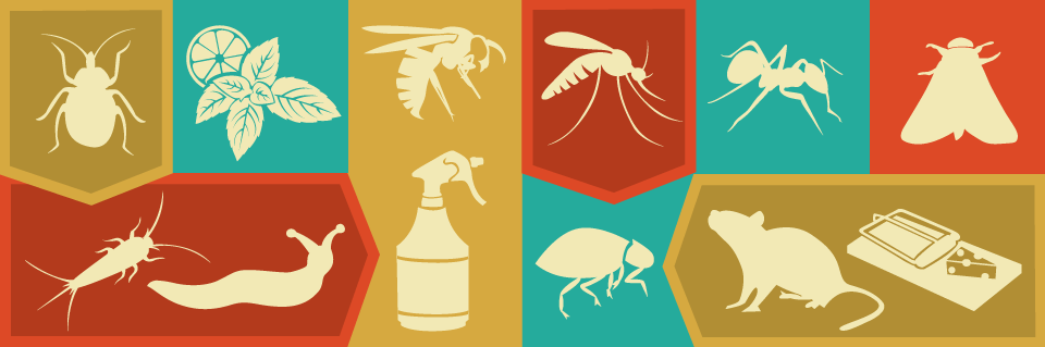Green Pest Management
