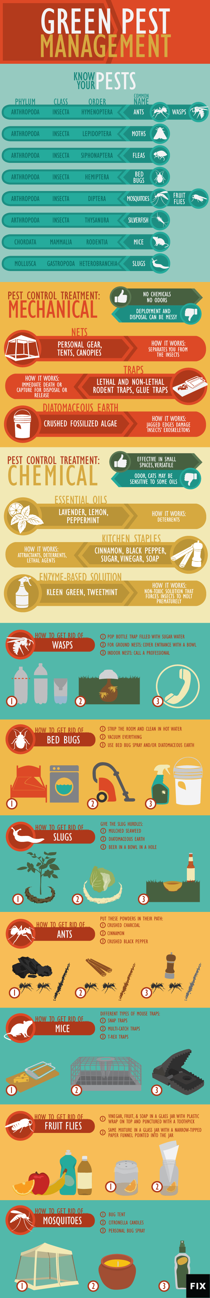 Infographic: green pest management