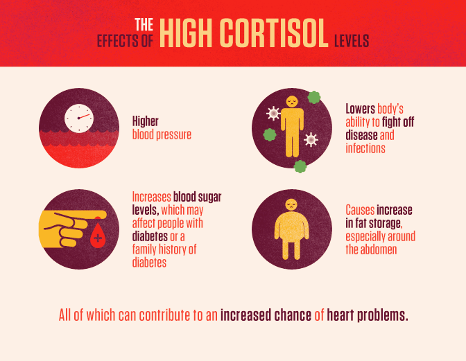 The Effects of High Cortisol Levels