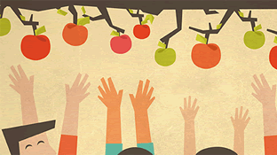The Ultimate Guide to Apple Picking