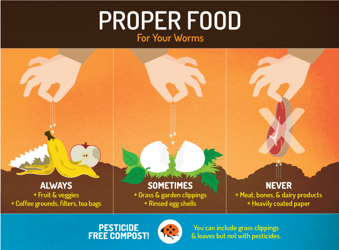 Vermicomposting - Feeding Your Worms the Proper Food