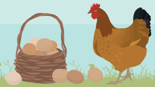 Eggsposing Eggs