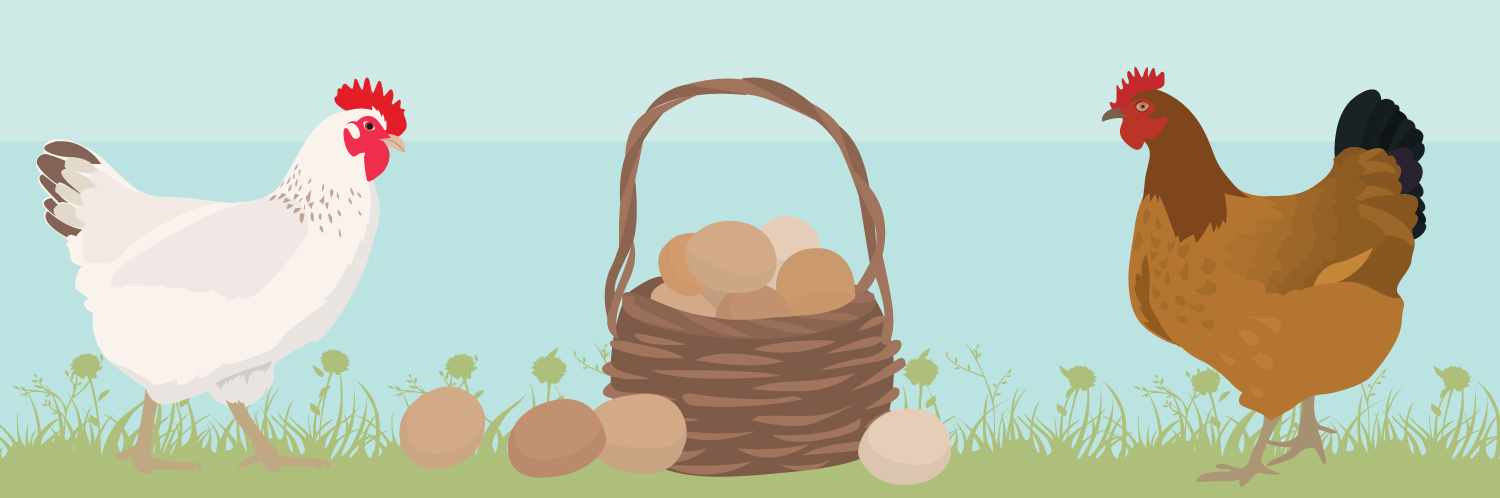 Eggsposing Eggs