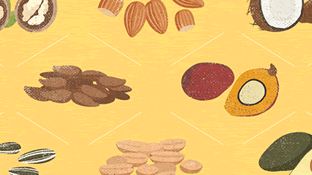 Nut, Seed, and Flower Oils