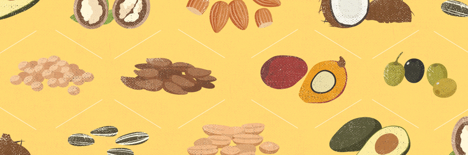 Nut, Seed, and Flower Oils