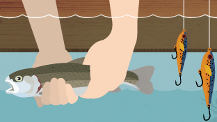 Guide to Catch-and-Release Fishing