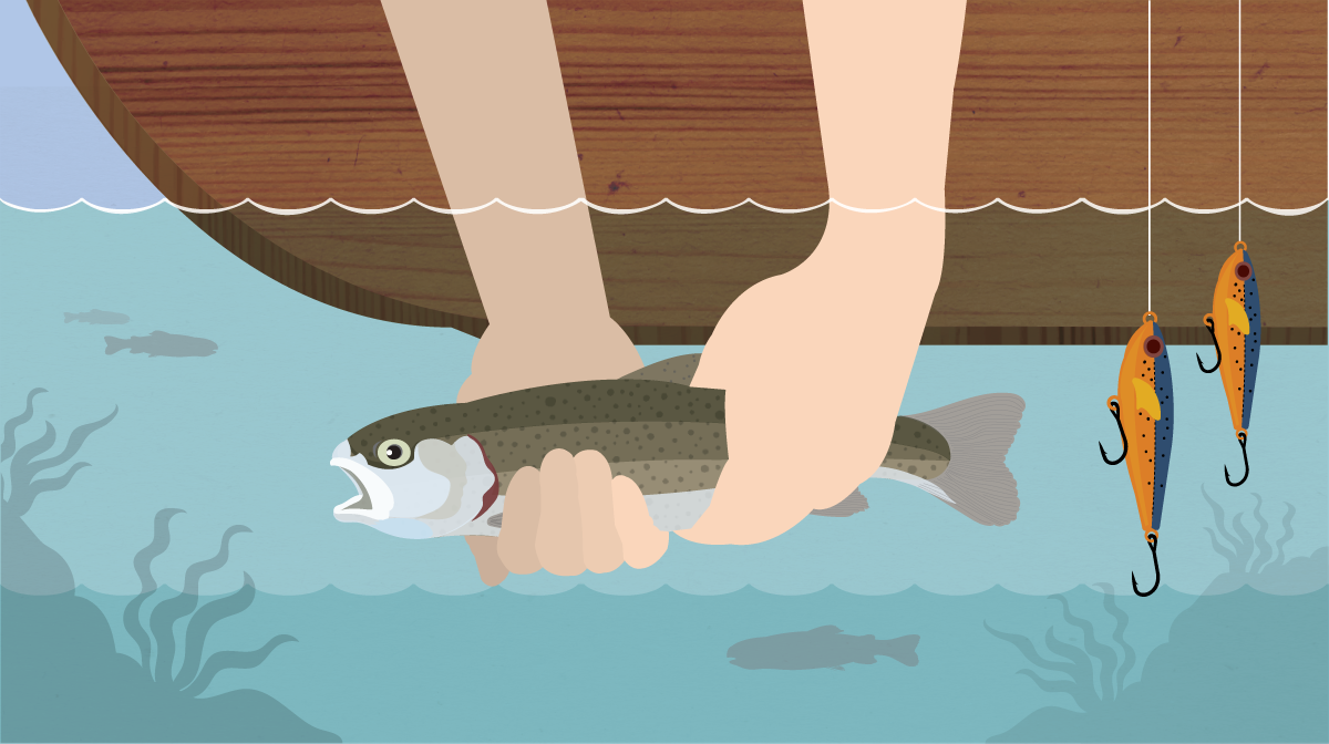 Guide to Catch and Release Fishing