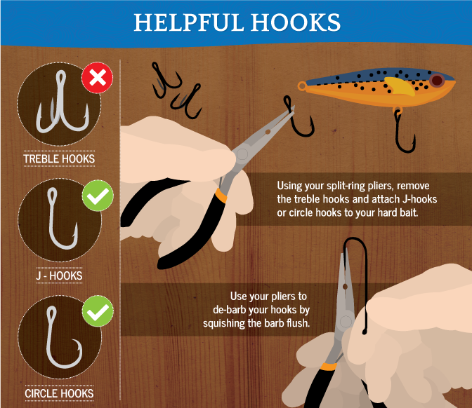 Modify Your Hooks for Catch-and-Release Fishing