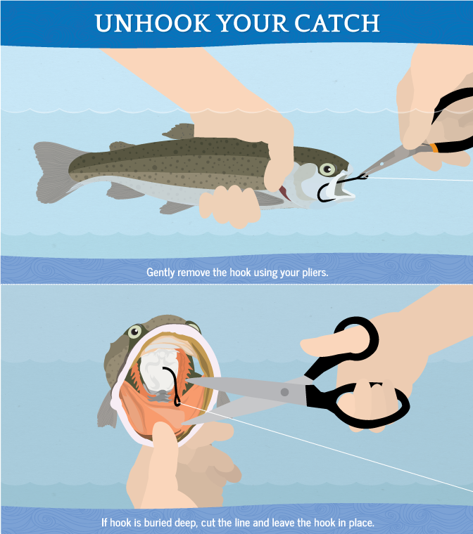 Removing Hooks Safely When Catch-and-Release Fishing