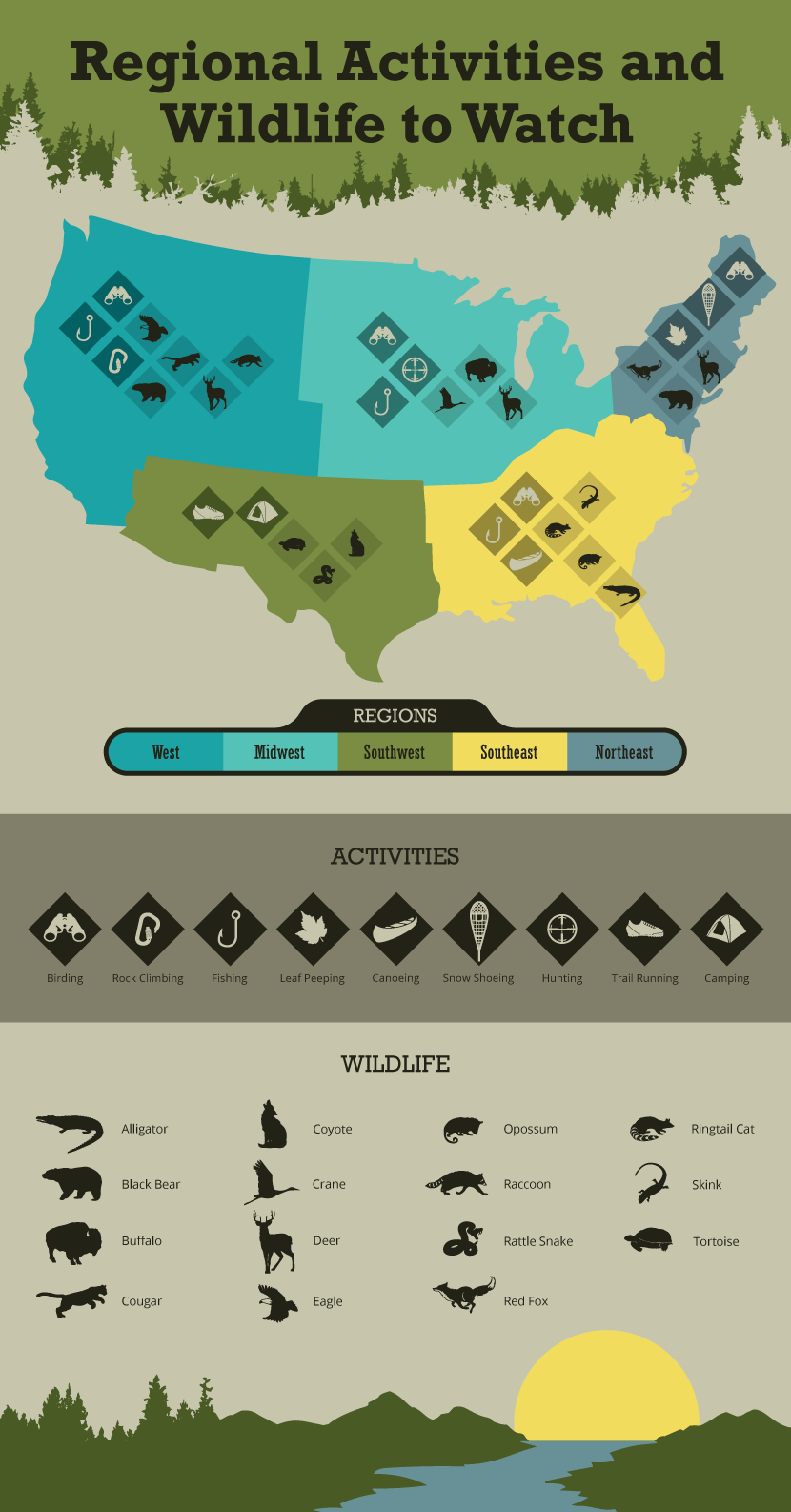 Animals and Activities by Regions