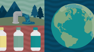 Water 101