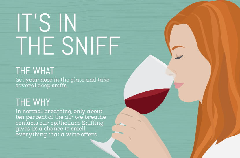 The Importance of Sniffing Wine