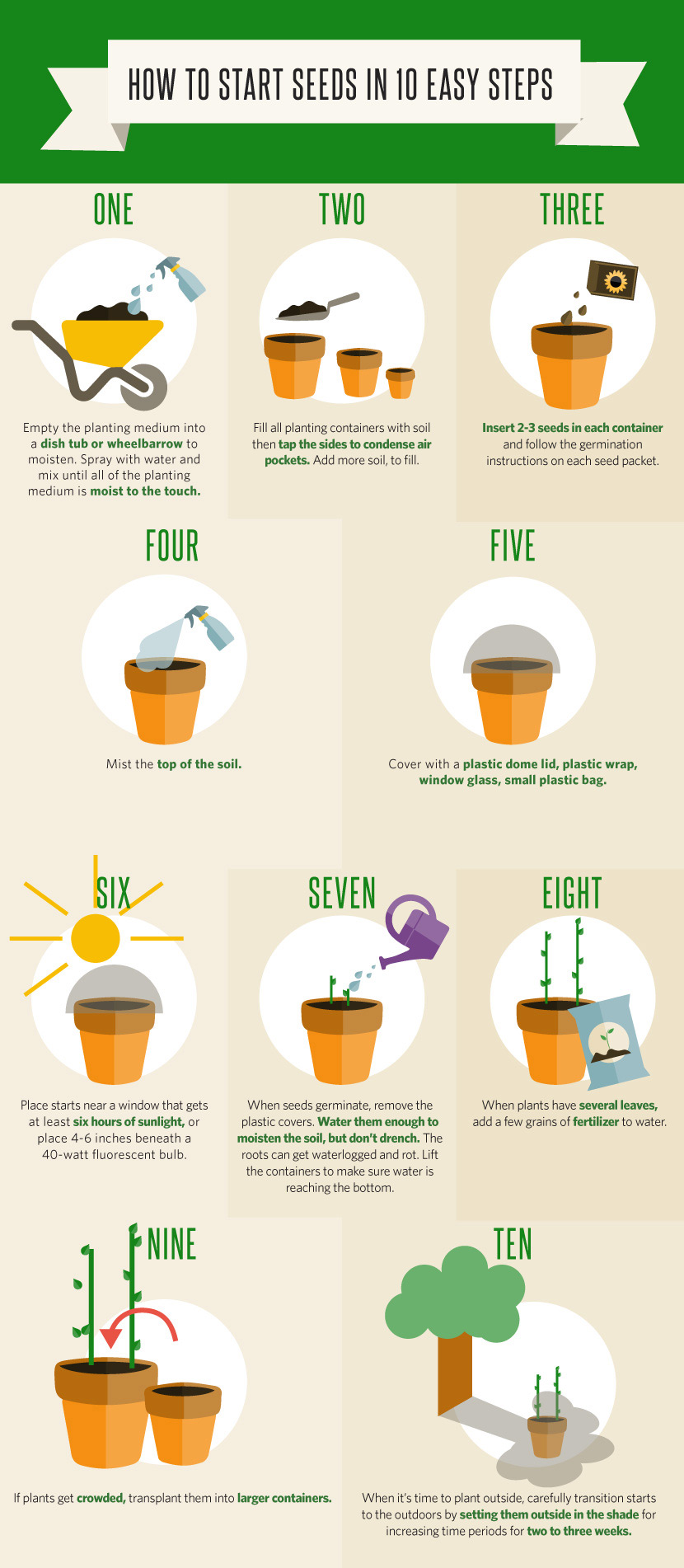 Getting Back Into Gardening After Winter: How To Start Seeds