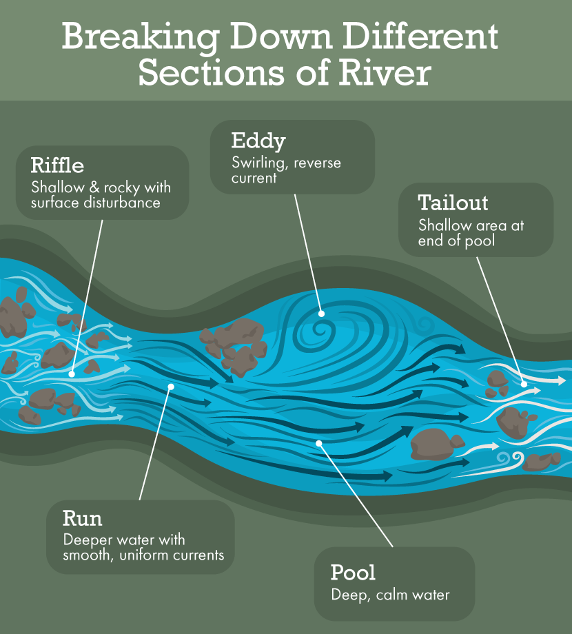 Breaking Down Sections of the River