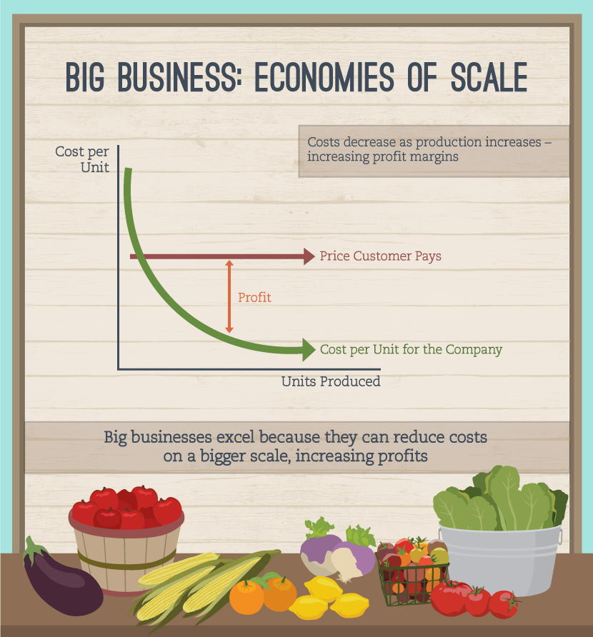 Buying Local: Economies of Scale
