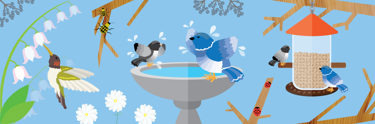 Gardening for the Birds