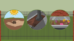 Guerrilla Gardening