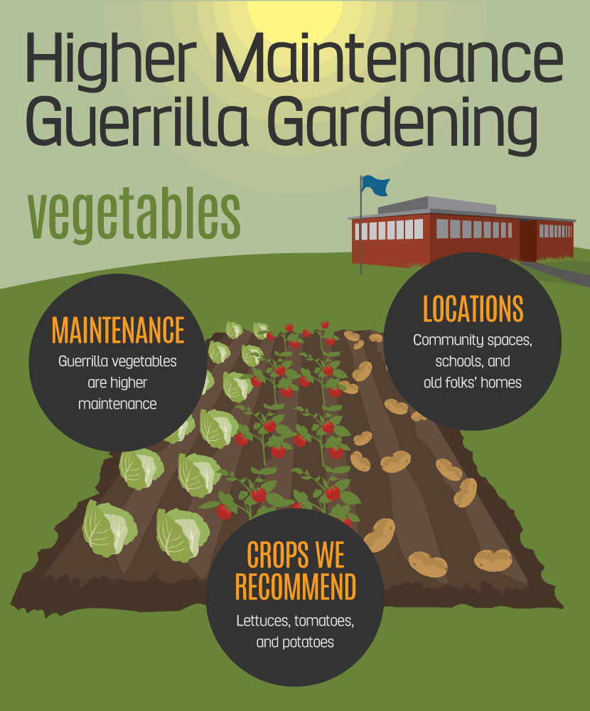 Guerrilla Gardening: Higher Maintenance Crops for Bigger Areas