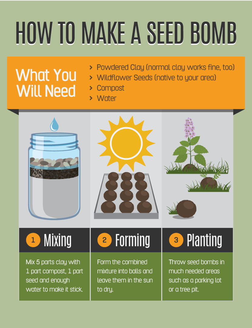 Guerrilla Gardening: How To Make A Seed Bomb