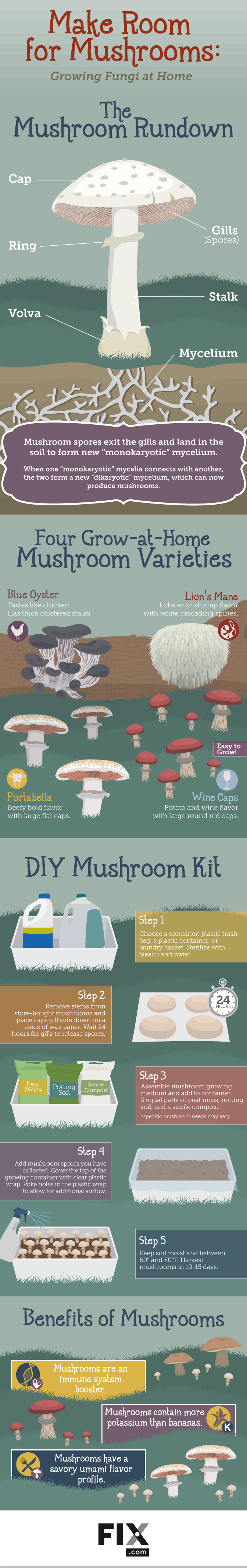 Growing Mushrooms At Home Fix Com