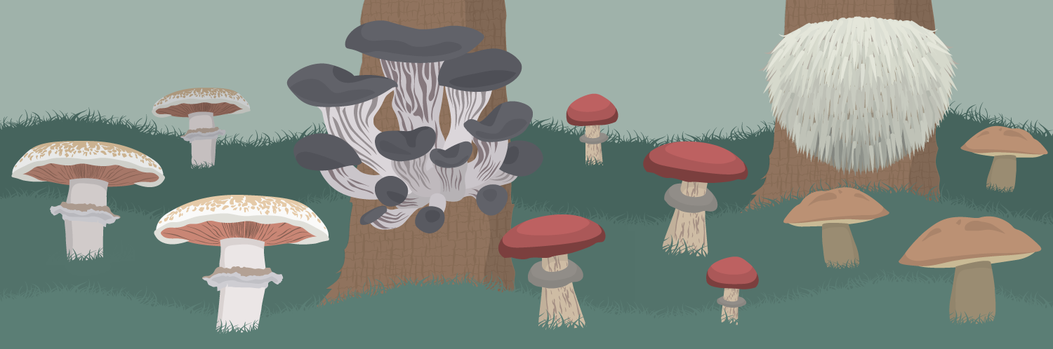 Make Room for Mushrooms