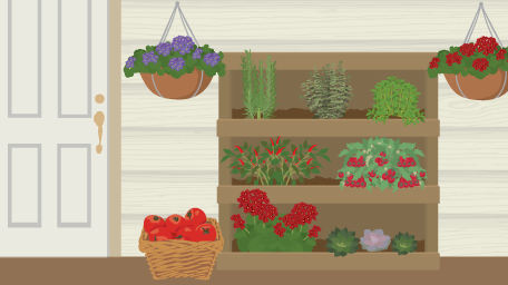 Saving Space With Vertical Gardens