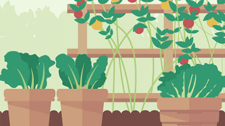 Simple Vegetable Garden Tips