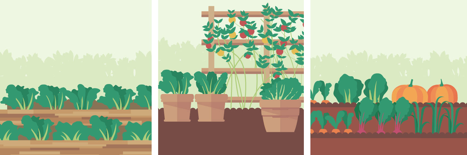 Simple Vegetable Garden Tips