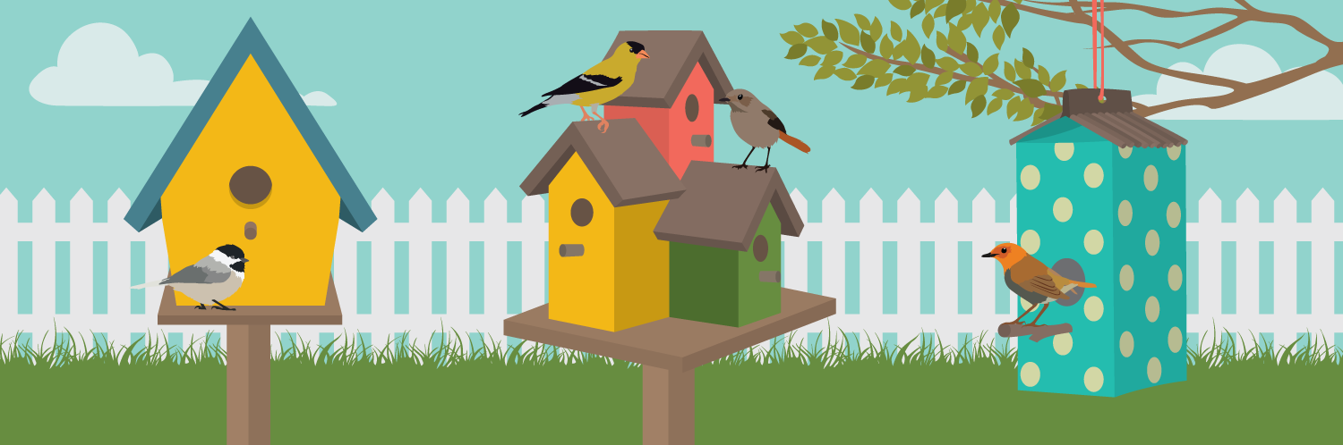 A Quick Guide to Building a Birdhouse
