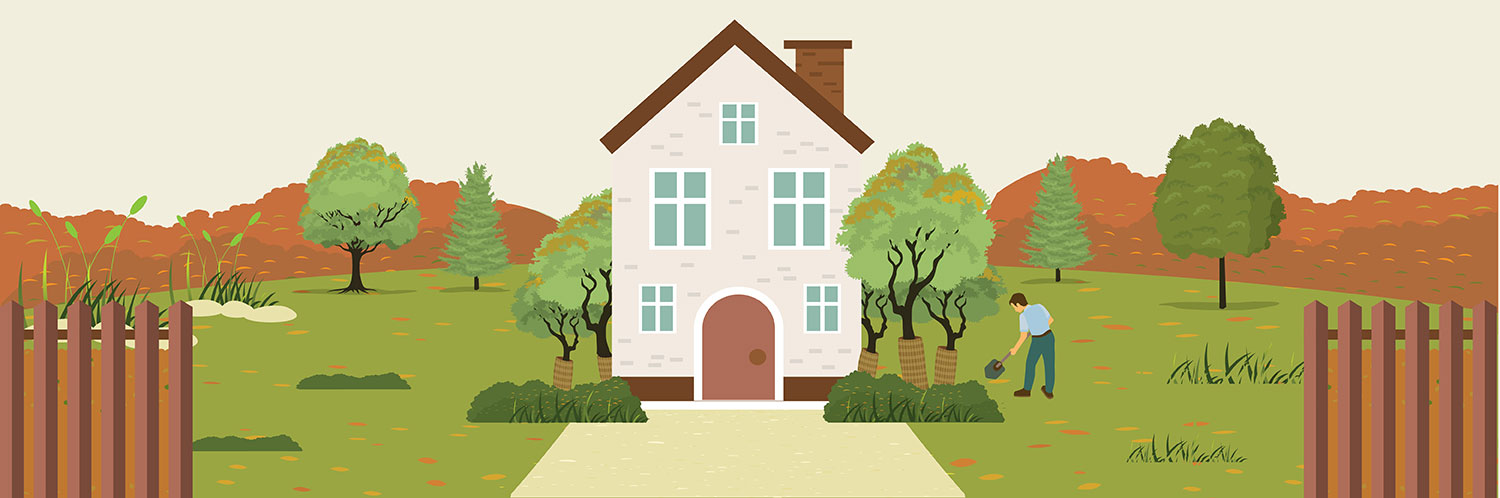 How to Recover Landscaping from Salt Damage