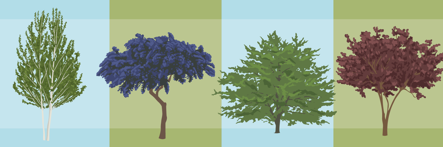 Selecting the Right Tree for Your Garden