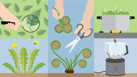 Foraging for Beginners