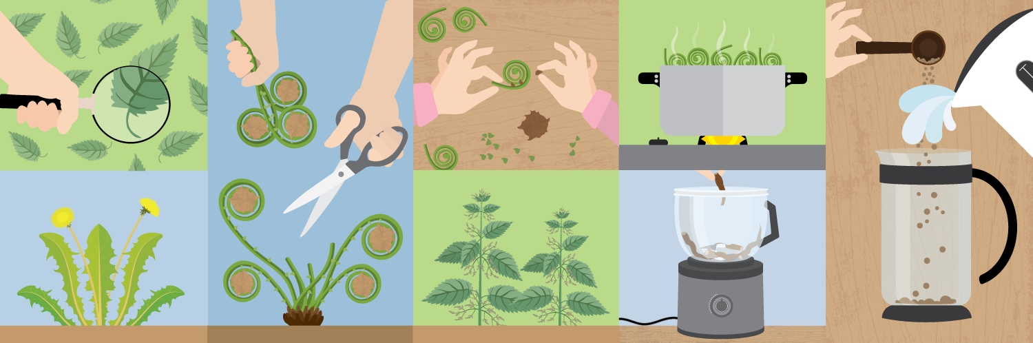 Foraging for Beginners