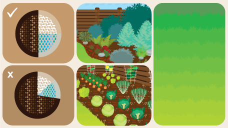 Drought-Proofing Your Yard
